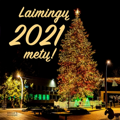 Gražių švenčių ir laimingų 2021 metų!